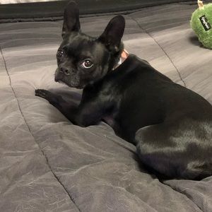 Meet your Posher, Caleb